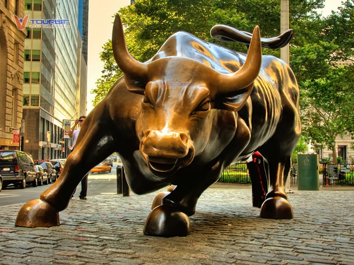 The AI Boom: A Look at Earnings and Opportunities